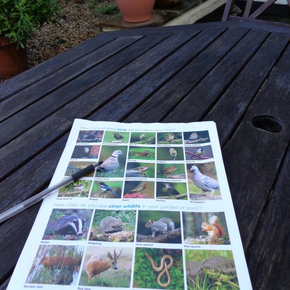 RSPB; birds; wildlife; big garden birdwatch; bird watch; birdwatch 2015