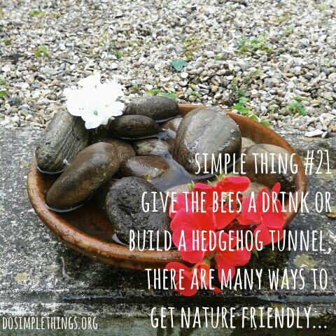Simple Thing No.21-Give nature a home